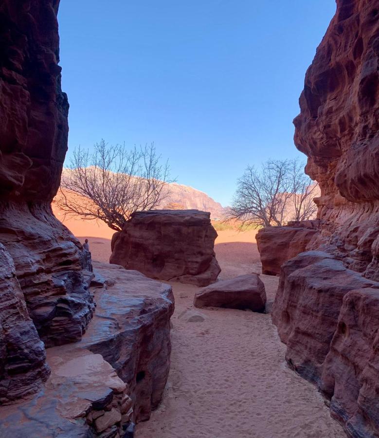 Bedouin Memories Camp Bed & Breakfast Wadi Rum Exterior foto